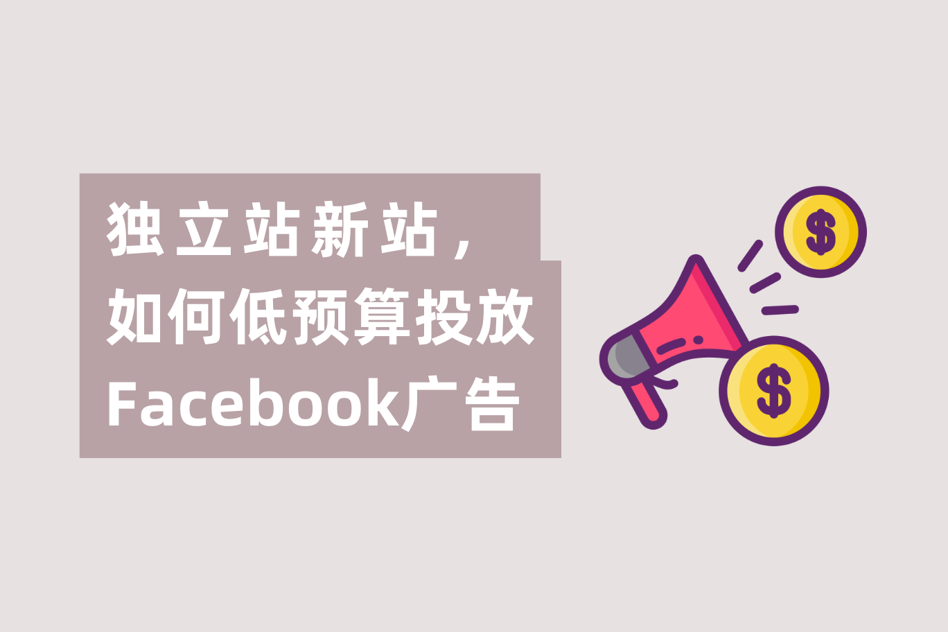 自力站新网站低预算，怎样投放Facebook广告？怎样界说小预算？