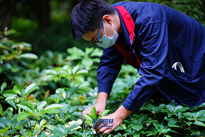 IM������(�й���)�ٷ���վ -APP����