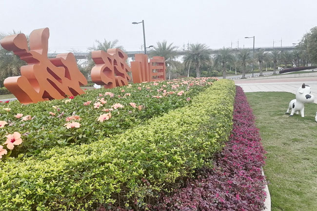 IM������(�й���)�ٷ���վ -APP����