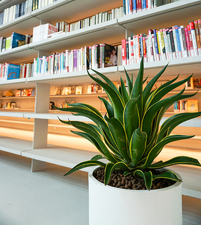 IM������(�й���)�ٷ���վ -APP����