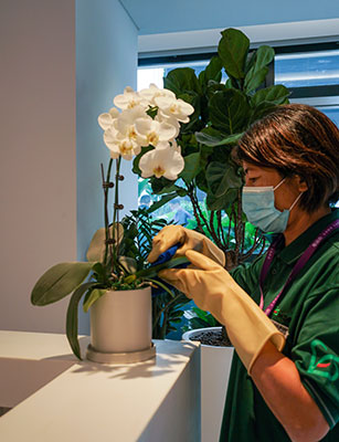 IM������(�й���)�ٷ���վ -APP����