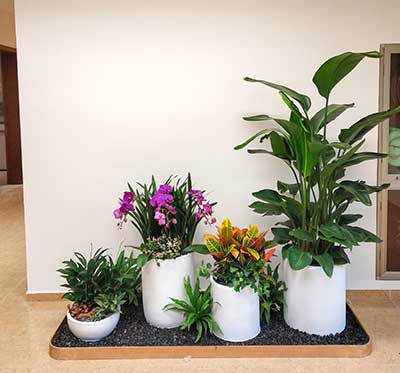 IM������(�й���)�ٷ���վ -APP����