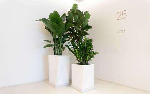 IM������(�й���)�ٷ���վ -APP����