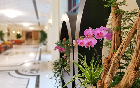 IM������(�й���)�ٷ���վ -APP����