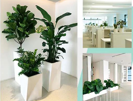 IM������(�й���)�ٷ���վ -APP����