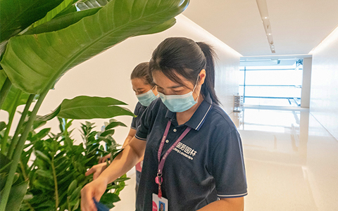 IM������(�й���)�ٷ���վ -APP����