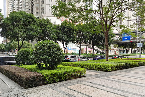 IM������(�й���)�ٷ���վ -APP����