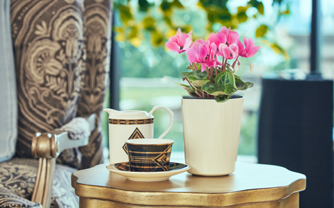 IM������(�й���)�ٷ���վ -APP����