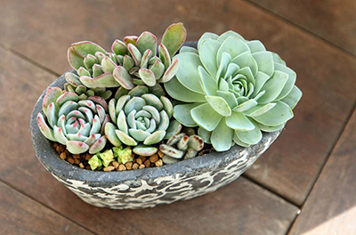 IM������(�й���)�ٷ���վ -APP����