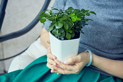 IM������(�й���)�ٷ���վ -APP����