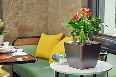 IM������(�й���)�ٷ���վ -APP����