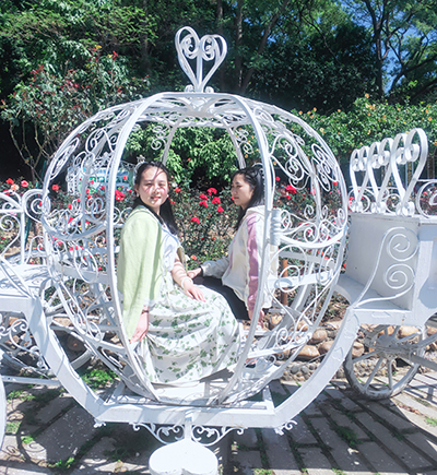 IM������(�й���)�ٷ���վ -APP����