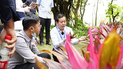 IM������(�й���)�ٷ���վ -APP����