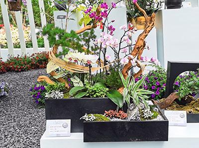 IM������(�й���)�ٷ���վ -APP����