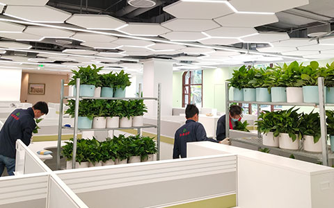 IM������(�й���)�ٷ���վ -APP����