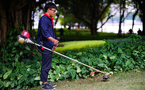 IM������(�й���)�ٷ���վ -APP����