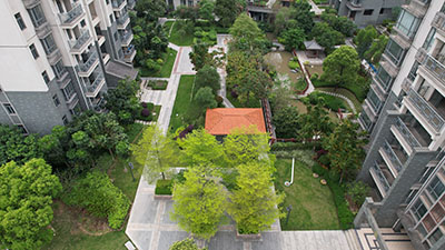 IM������(�й���)�ٷ���վ -APP����