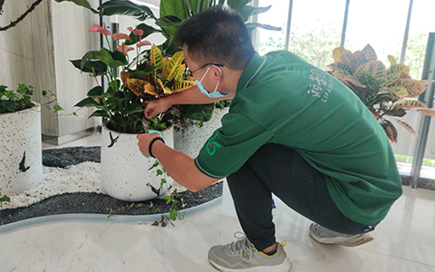 IM������(�й���)�ٷ���վ -APP����