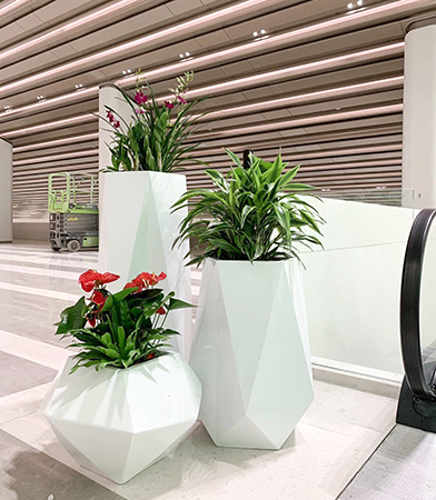 IM������(�й���)�ٷ���վ -APP����