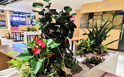 IM������(�й���)�ٷ���վ -APP����