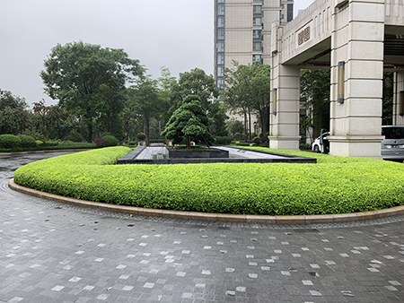 IM������(�й���)�ٷ���վ -APP����