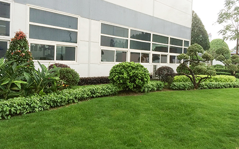 IM������(�й���)�ٷ���վ -APP����