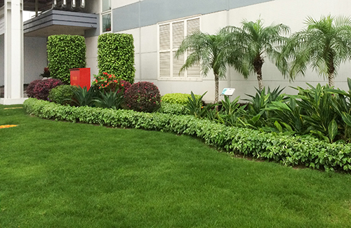 IM������(�й���)�ٷ���վ -APP����