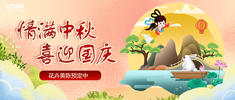 IM������(�й���)�ٷ���վ -APP����