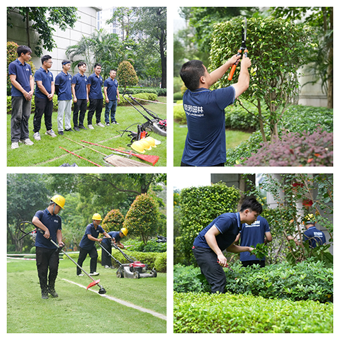 IM������(�й���)�ٷ���վ -APP����