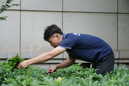 IM������(�й���)�ٷ���վ -APP����