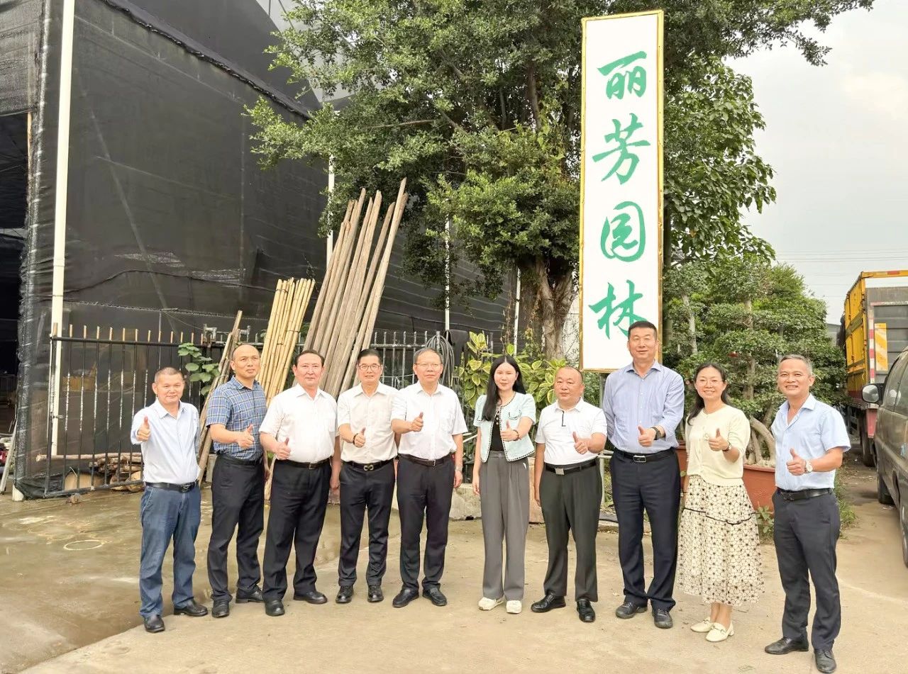 IM������(�й���)�ٷ���վ -APP����