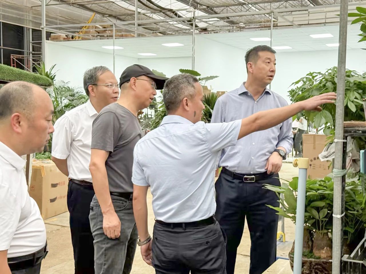 IM������(�й���)�ٷ���վ -APP����