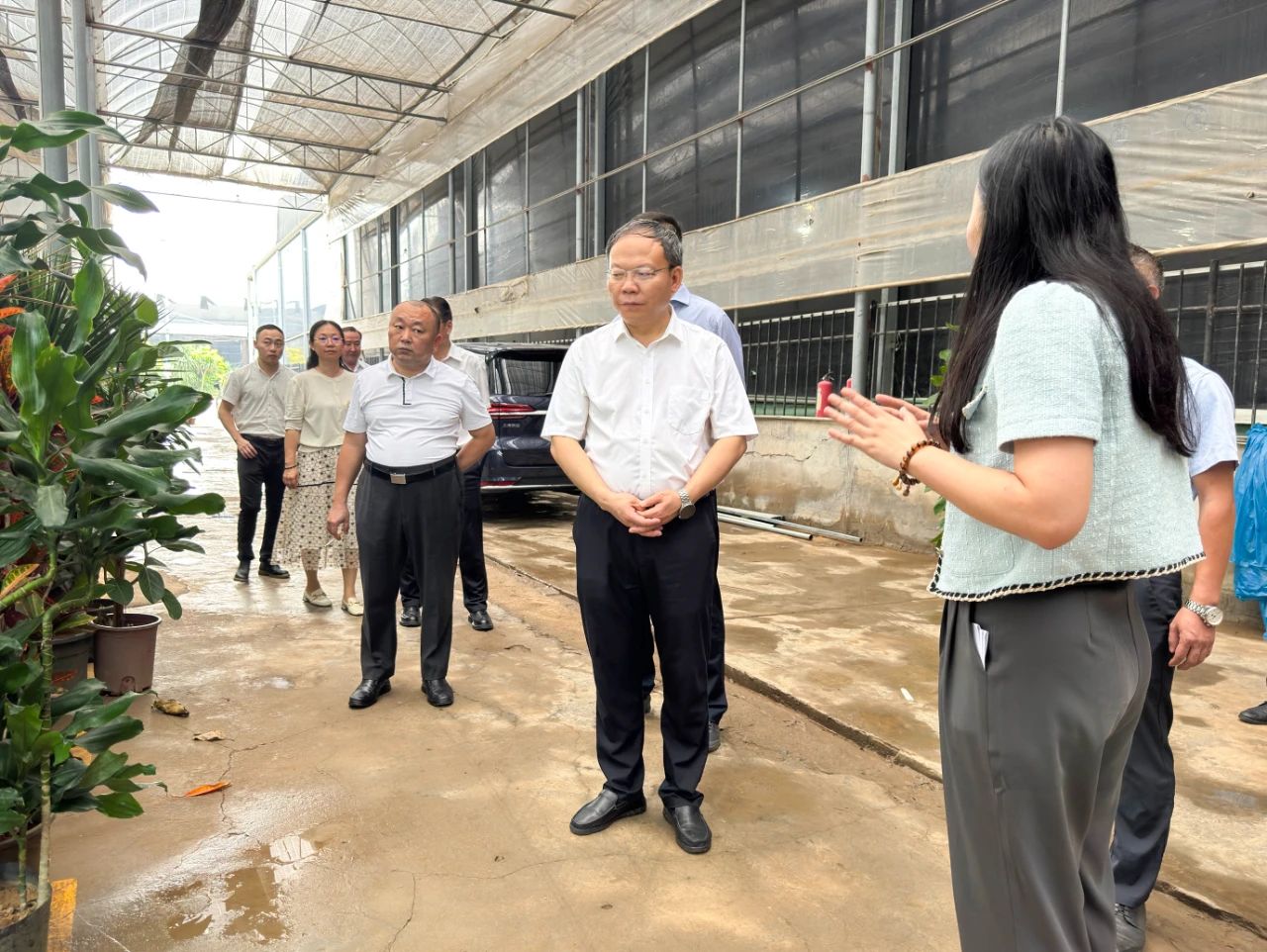 IM������(�й���)�ٷ���վ -APP����