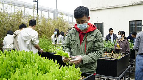 IM������(�й���)�ٷ���վ -APP����