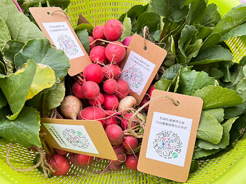 IM������(�й���)�ٷ���վ -APP����