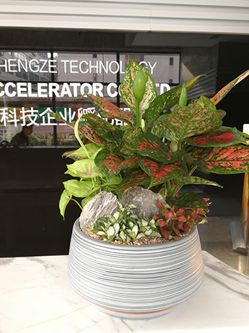 IM������(�й���)�ٷ���վ -APP����