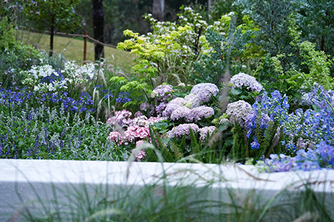 IM������(�й���)�ٷ���վ -APP����