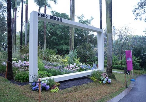 IM������(�й���)�ٷ���վ -APP����