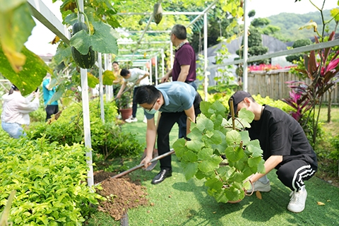 IM������(�й���)�ٷ���վ -APP����