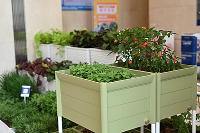 IM������(�й���)�ٷ���վ -APP����