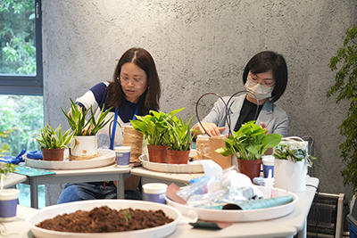 IM������(�й���)�ٷ���վ -APP����