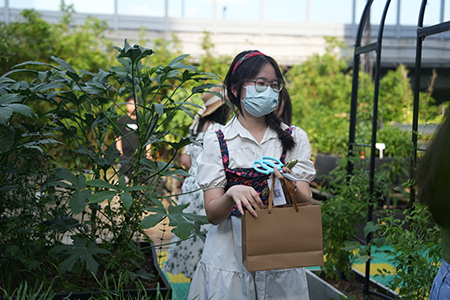 IM������(�й���)�ٷ���վ -APP����