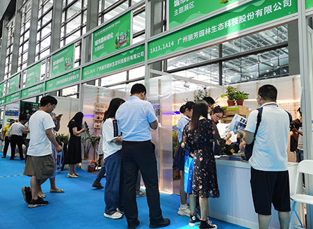 IM������(�й���)�ٷ���վ -APP����