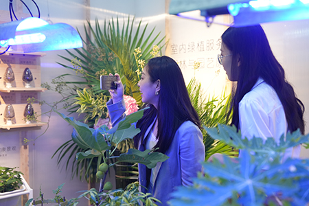 IM������(�й���)�ٷ���վ -APP����