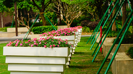 IM������(�й���)�ٷ���վ -APP����