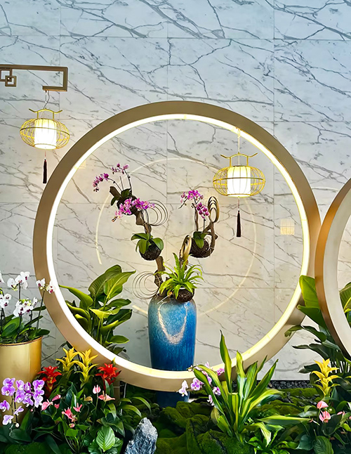 IM������(�й���)�ٷ���վ -APP����