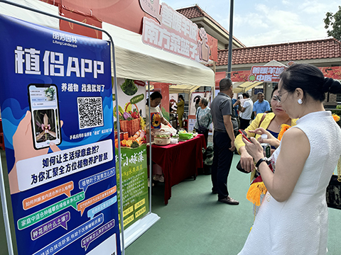 IM������(�й���)�ٷ���վ -APP����