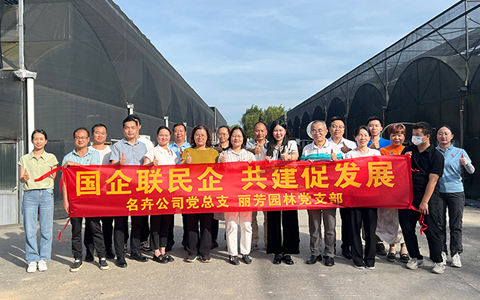 IM������(�й���)�ٷ���վ -APP����