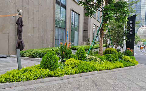 IM������(�й���)�ٷ���վ -APP����