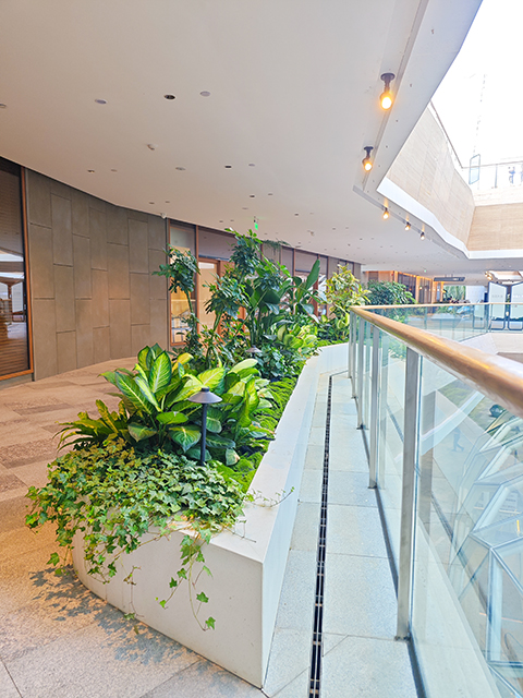 IM������(�й���)�ٷ���վ -APP����